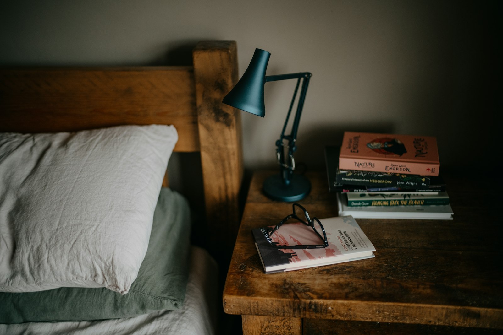 It's okay to put non-fiction down at halfway